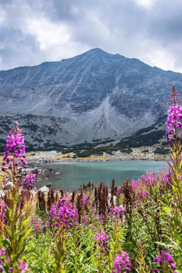 Borovets Gardens B30 Morunov Apart Zewnętrze zdjęcie